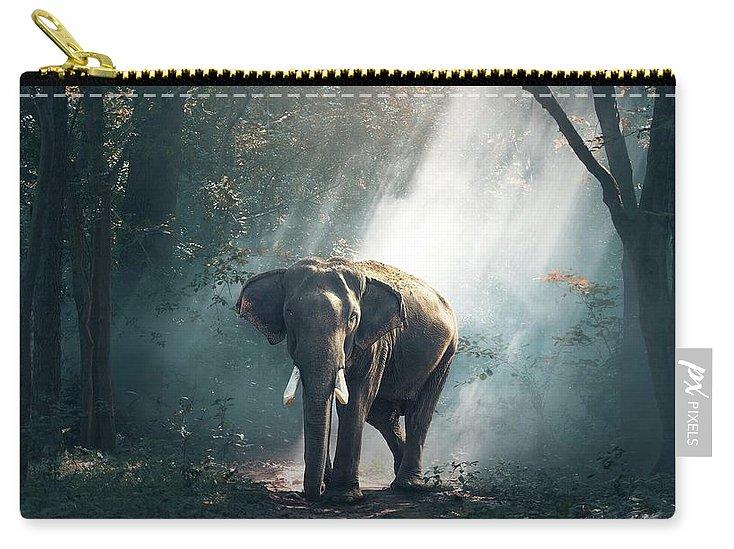Lone Elephant - Carry-All Pouch