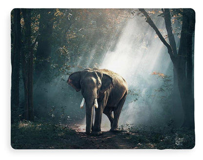Lone Elephant - Blanket