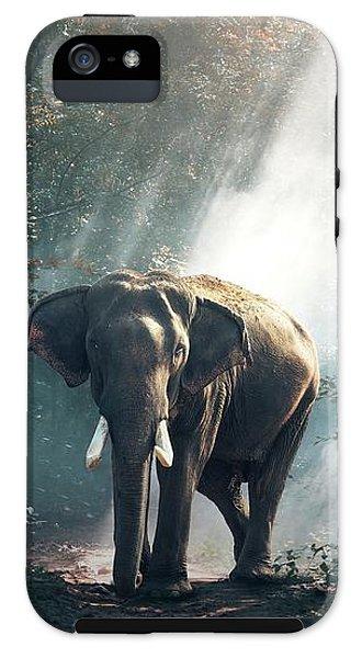 Lone Elephant - Phone Case
