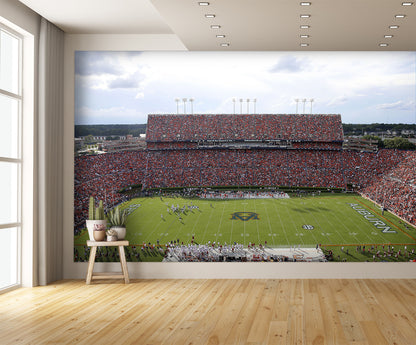 Auburn Tigers Football Stadium Wallpaper Mural