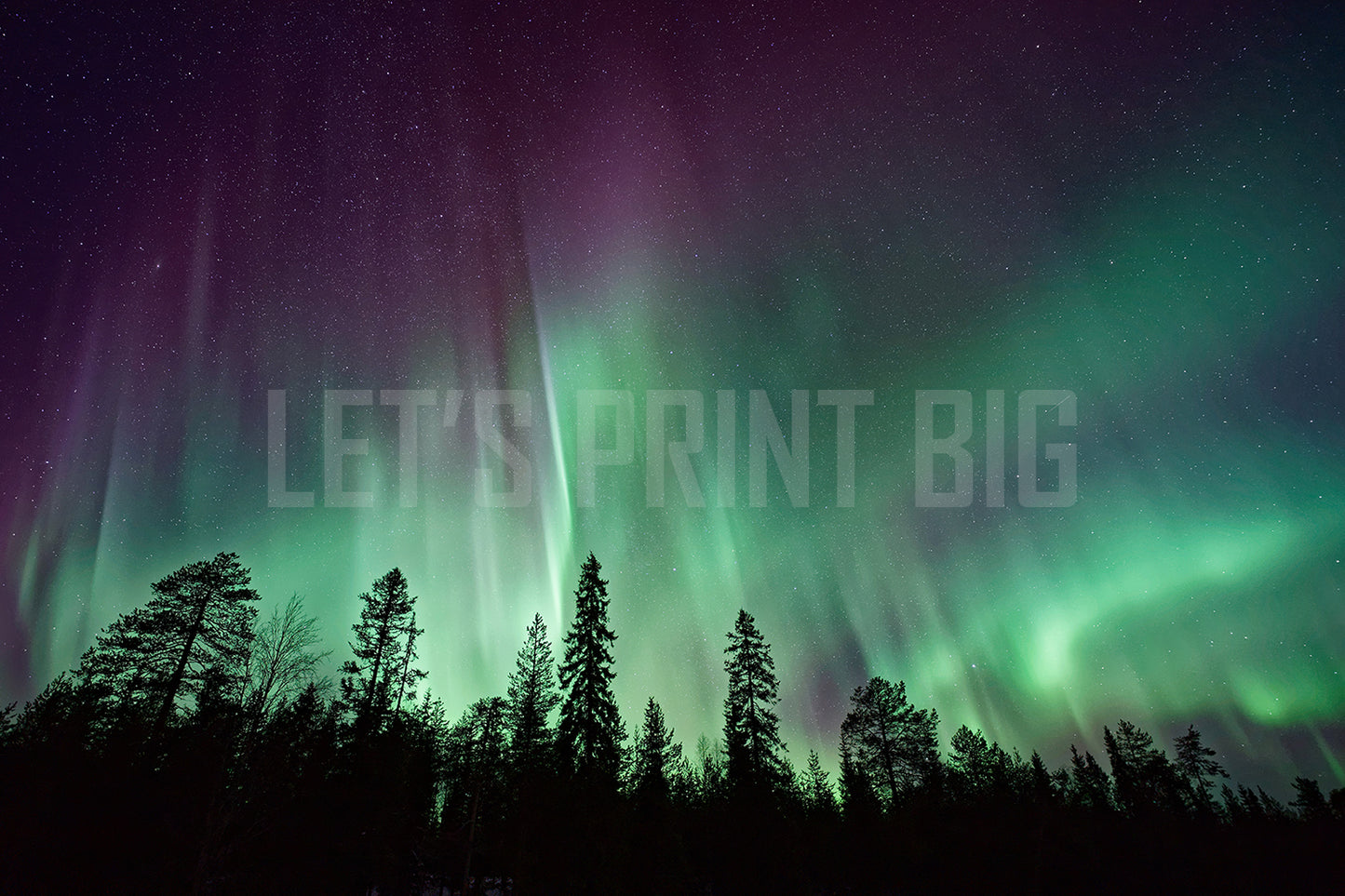 Birdseye View of the Northern Lights with Trees Wall Mural