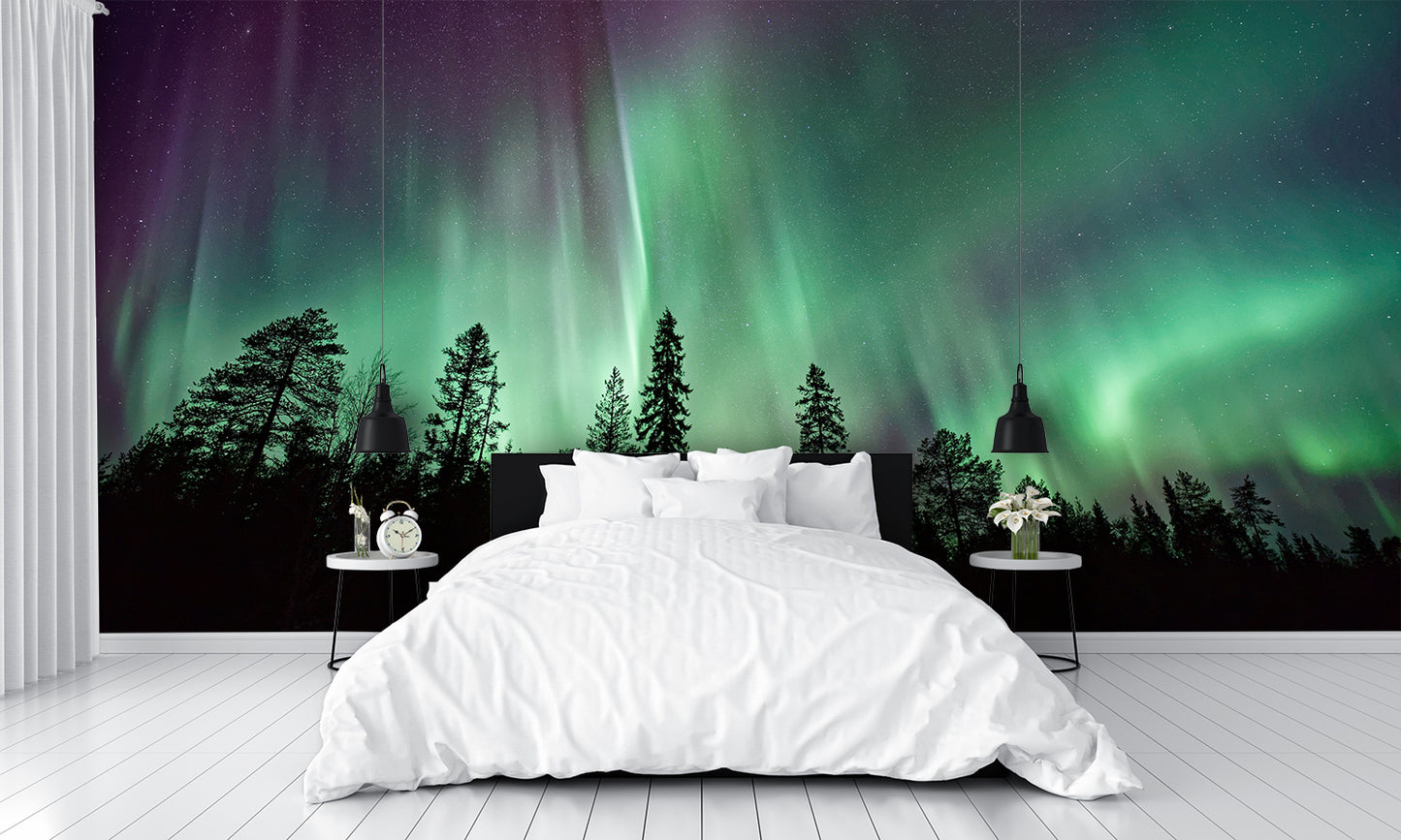 Birdseye View of the Northern Lights with Trees Wall Mural