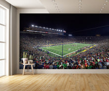 Notre Dame Football Stadium at Night Wall Mural
