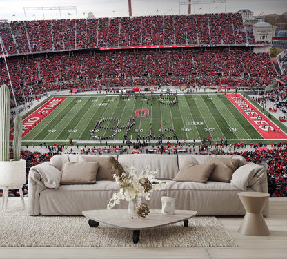 Ohio State Football Wallpaper Stadium Man Cave Wall Mural living room couch