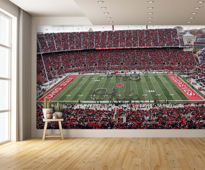 Ohio State Football Wallpaper Stadium Man Cave Wall Mural extra room