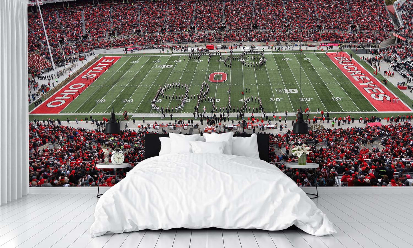 Ohio State Football Wallpaper Stadium Man Cave Wall Mural bedroom
