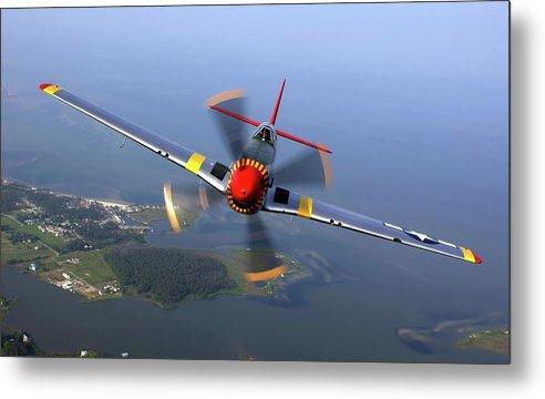 P-51 - Metal Print