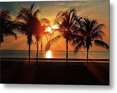 Palm Calm - Metal Print