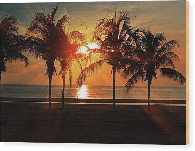 Palm Calm - Wood Print