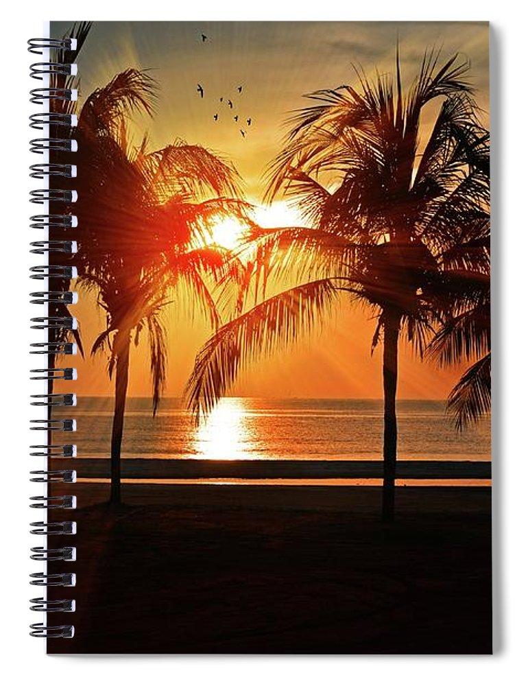 Palm Calm - Spiral Notebook