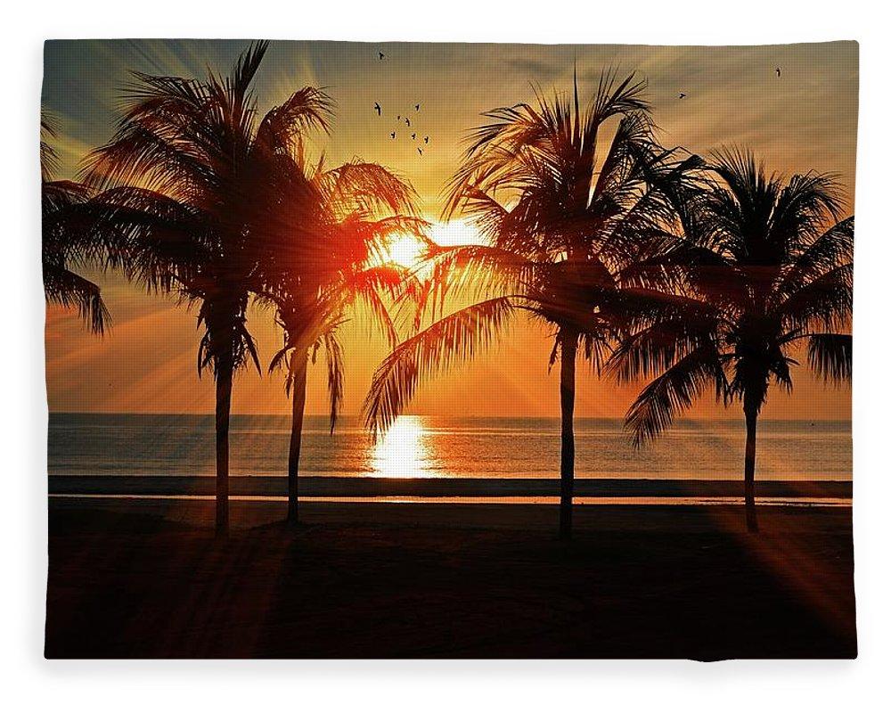 Palm Calm - beach Blanket