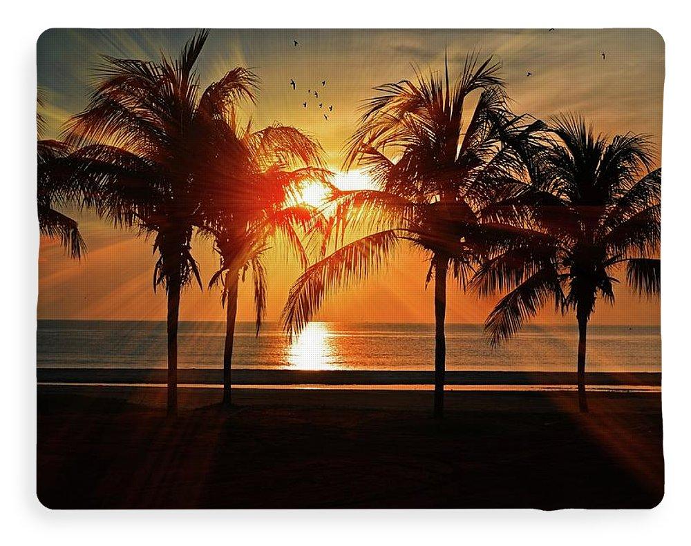 Palm Calm - beach Blanket