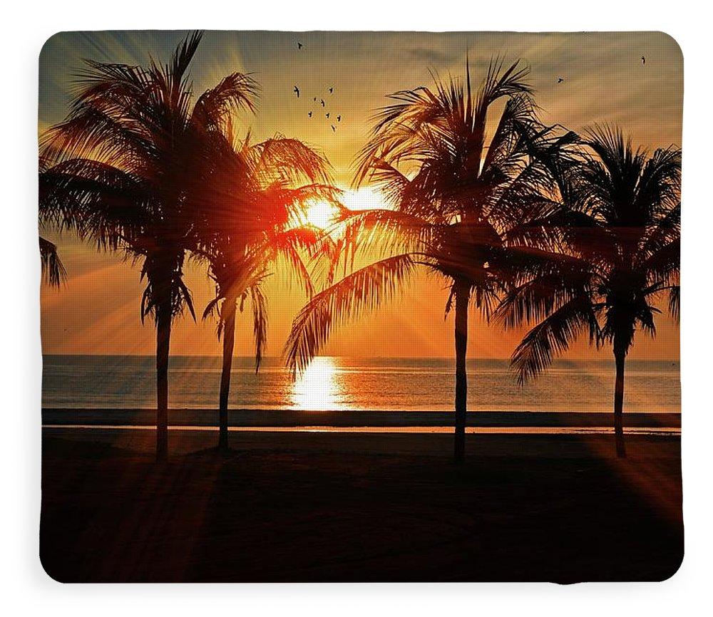 Palm Calm - beach Blanket