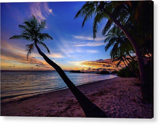 Palm Trees Beach Sunset - Acrylic Print