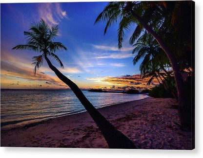 Palm Trees Beach Sunset - Acrylic Print