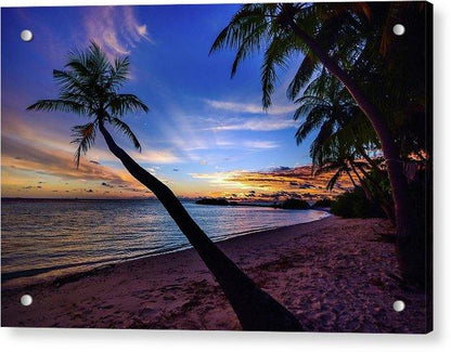 Palm Trees Beach Sunset - Acrylic Print