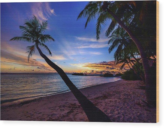 Palm Trees Beach Sunset - Wood Print
