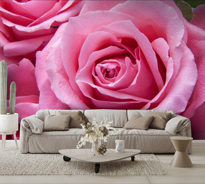Pink Rose Huge Custom Designed Wallpaper