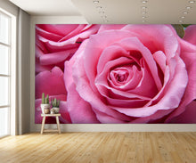 Pink Rose Huge Custom Designed Wallpaper