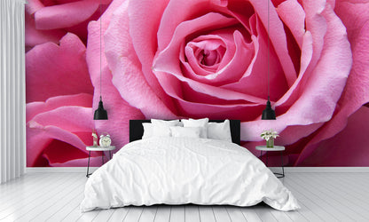 Pink Rose Huge Custom Designed Wallpaper