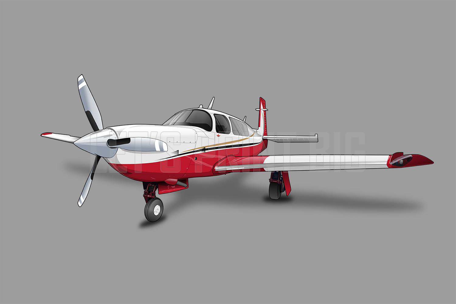 Mooney Airplane Wall Decals