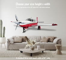 Mooney Airplane Wall Decals