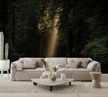 Sun Shining on Road in the Woods Wall Mural