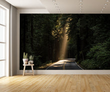 Sun Shining on Road in the Woods Wall Mural
