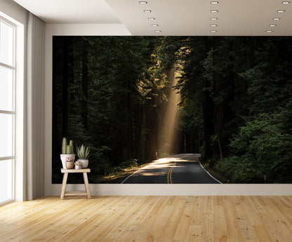Sun Shining on Road in the Woods Wall Mural