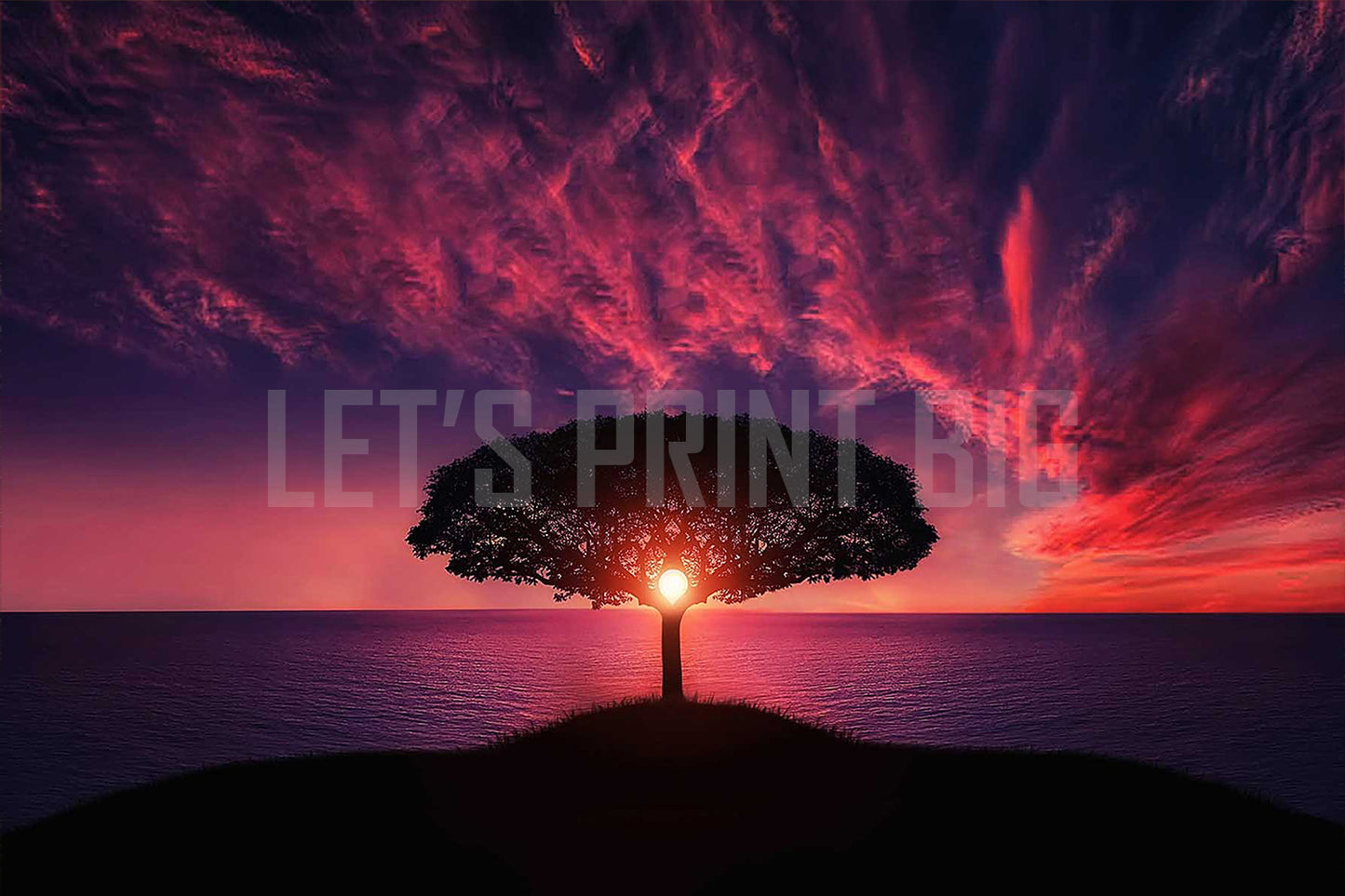 Sunset Over Water Through Tree Custom Designed Wallpaper