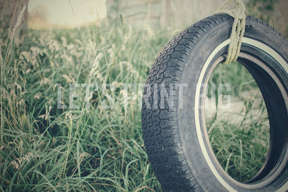 Tire Swing Mural Wallpaper