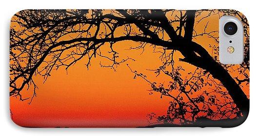 Tree Silhouette - Phone Case