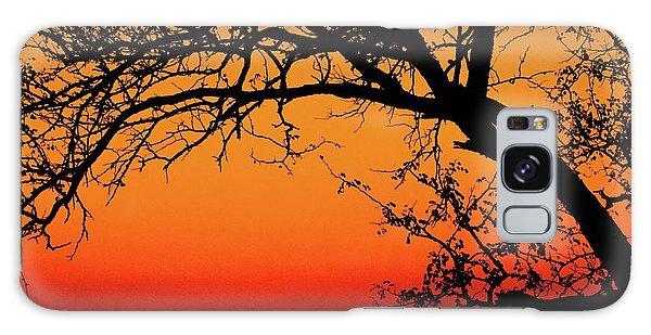 Tree Silhouette - Phone Case
