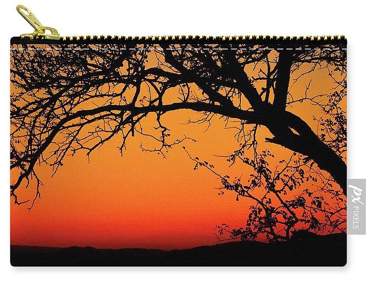 Tree Silhouette - Carry-All Pouch