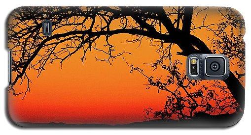 Tree Silhouette - Phone Case