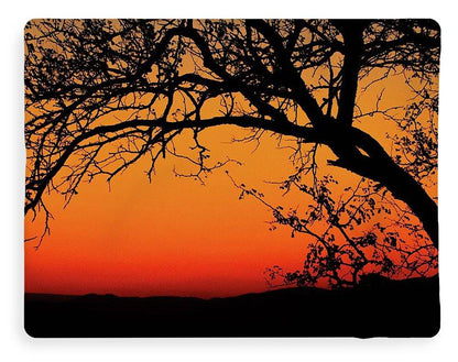Tree Silhouette - Blanket