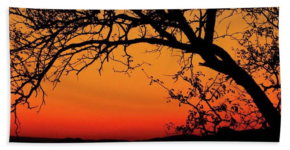 Tree Silhouette - Beach Towel