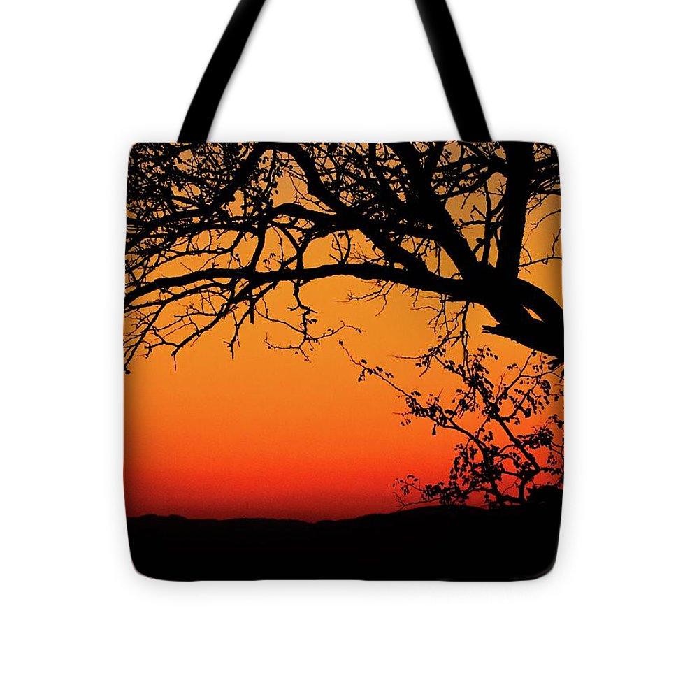 Tree Silhouette - Tote Bag