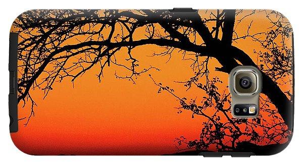 Tree Silhouette - Phone Case