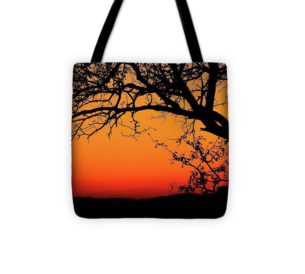 Tree Silhouette - Tote Bag