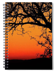 Tree Silhouette - Spiral Notebook