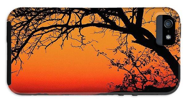 Tree Silhouette - Phone Case