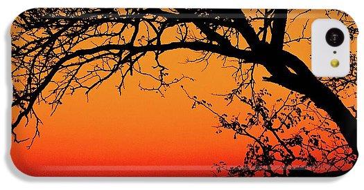 Tree Silhouette - Phone Case