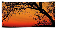 Tree Silhouette - Beach Towel