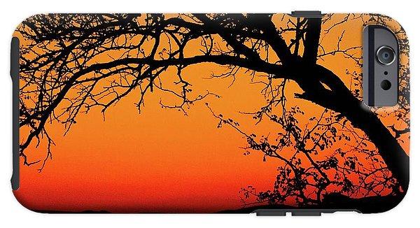 Tree Silhouette - Phone Case