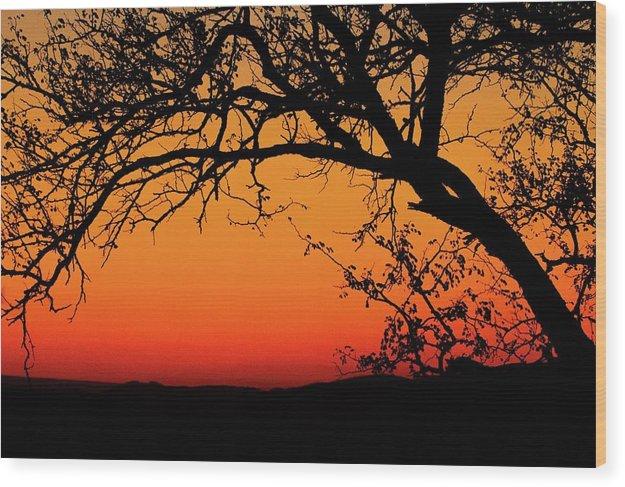 Tree Silhouette - Wood Print