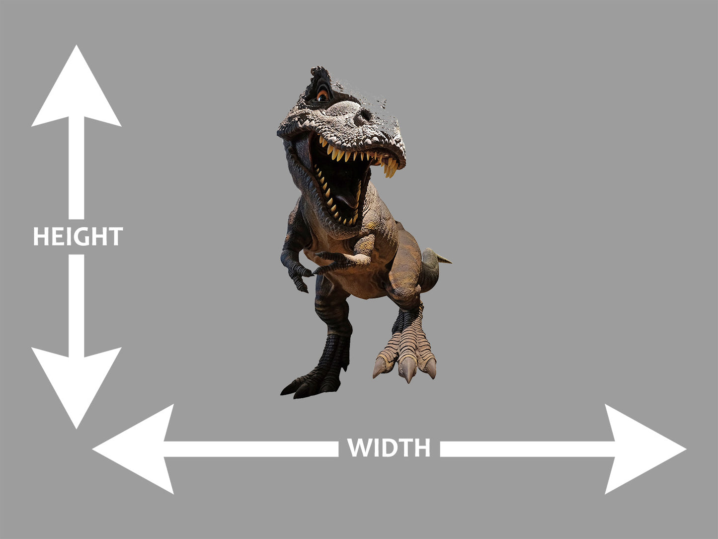 T-Rex Wall Art Decal