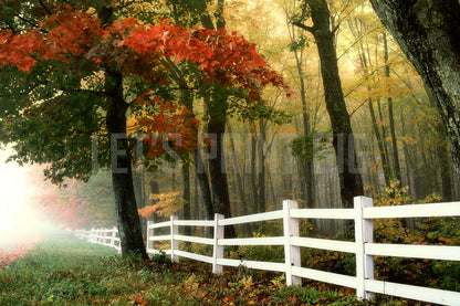 White Fence in the Fall Mural Wallpaper