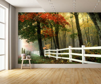 White Fence in the Fall Mural Wallpaper