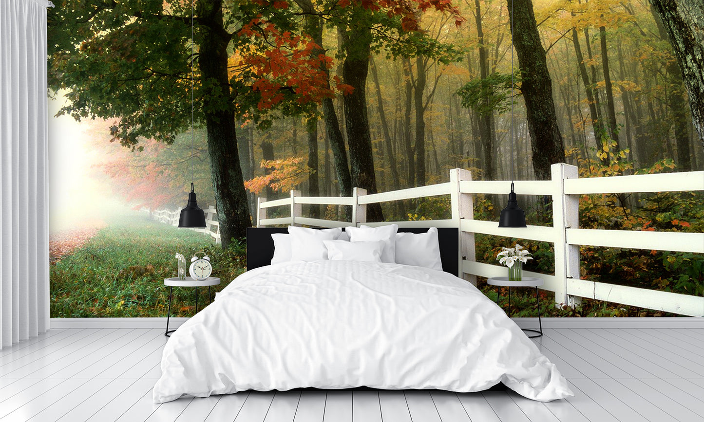 White Fence in the Fall Mural Wallpaper